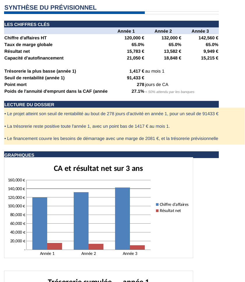 Aperçu réel : la synthèse banquier générée par le fichier (chiffres clés 3 ans, lecture du dossier, graphiques)